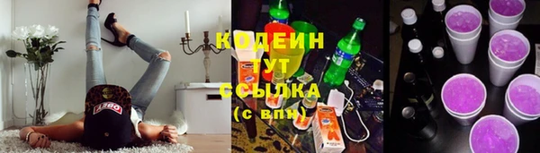 молекула духа Медвежьегорск