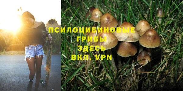 твердый Мегион