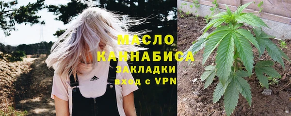 молекула духа Медвежьегорск