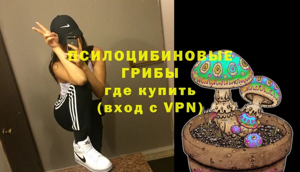 молекула духа Медвежьегорск