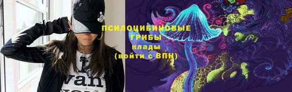 твердый Мегион