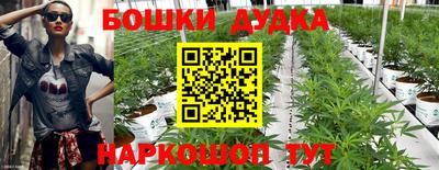 молекула духа Балашиха