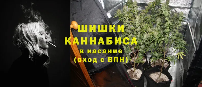 что такое   Нарткала  Канабис SATIVA & INDICA 